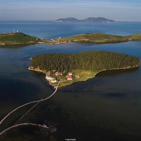 Juniperus Village House 펜션 Vlorë