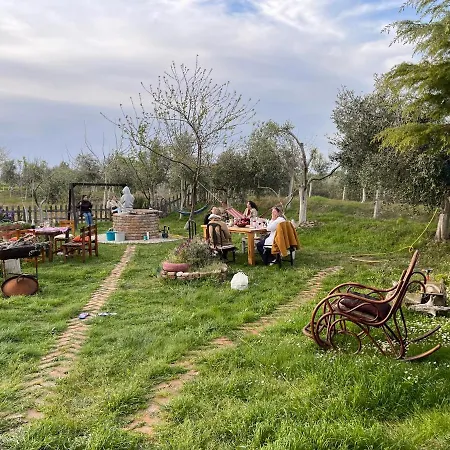 펜션 Juniperus Village House