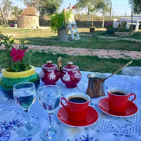 Juniperus Village House 펜션 Vlorë
