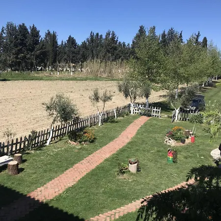 Juniperus Village House בית נופש