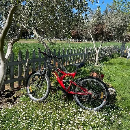 בית נופש Juniperus Village House *